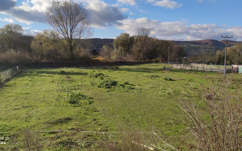 Predaj – pozemok 4270 m2 určený na výstavbu domov 42,-/m2 – Petrovany