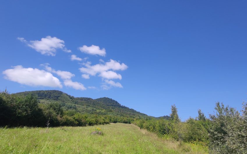 predaj – investičný pozemok 3095 m2 + podiel na ceste 258,5 m2 – iba 20,- € / m2 – Fintice