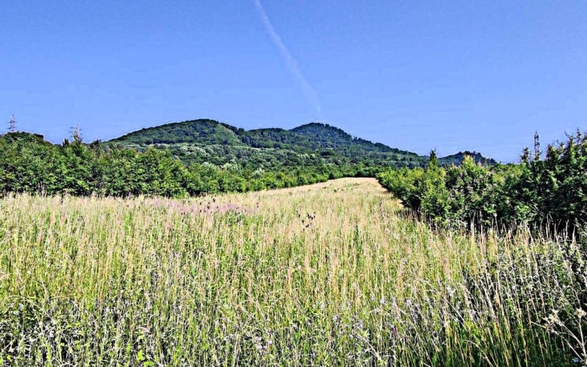 predaj – investičný pozemok 3095 m2 + podiel na ceste 258,5 m2 – iba 19,40,- € / m2 – Fintice