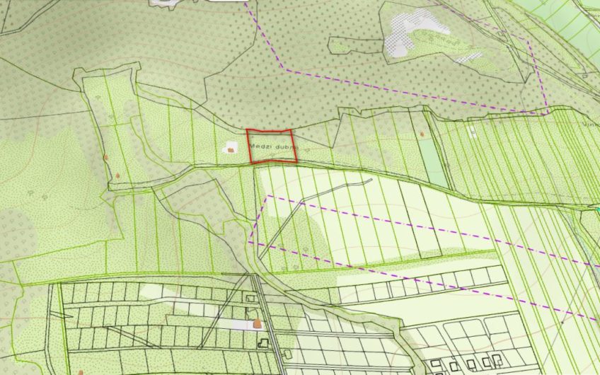 predaj – pozemok na rekreáciu 1/3 podiel – Fintice