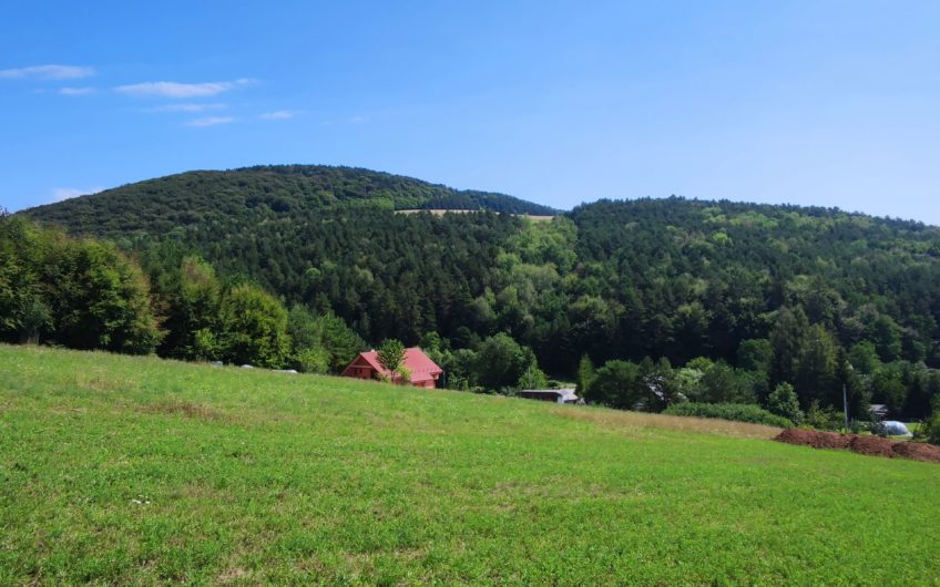 predaj – pozemok určený na výstavbu domu – Podhorany